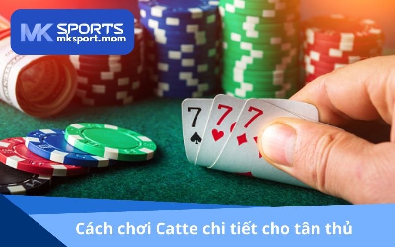 Cách chơi Catte chi tiết cho tân thủ