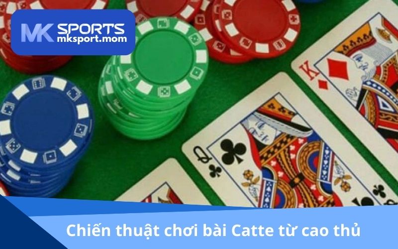 Chiến thuật chơi bài Catte từ cao thủ để tăng cơ hội thắng