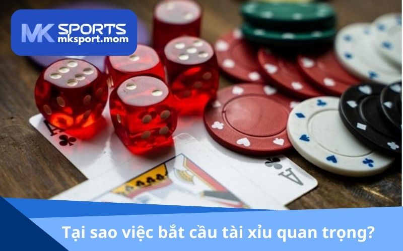 Tại sao việc bắt cầu tài xỉu lại quan trọng?