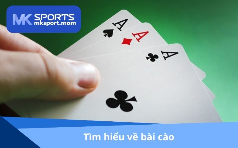 Tìm hiểu về bài cào