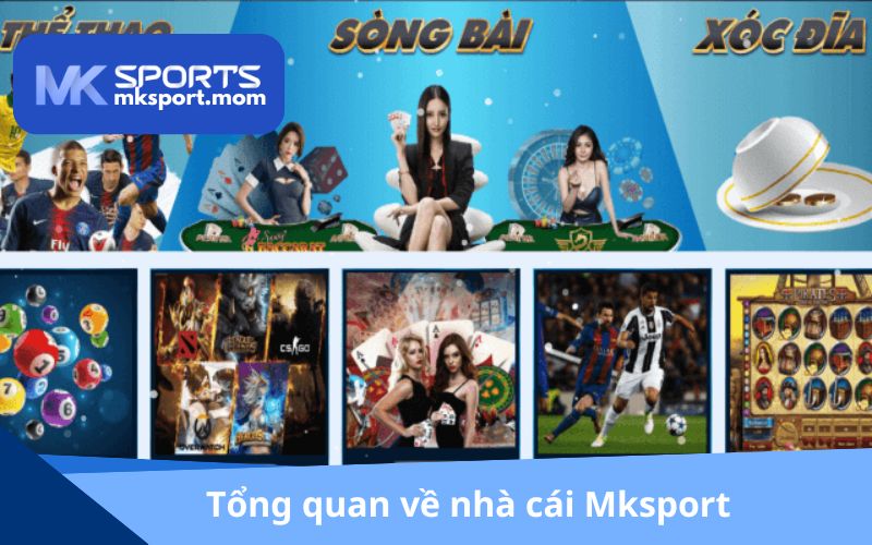 Mksport - Nhà cái đẳng cấp #1 Châu Á