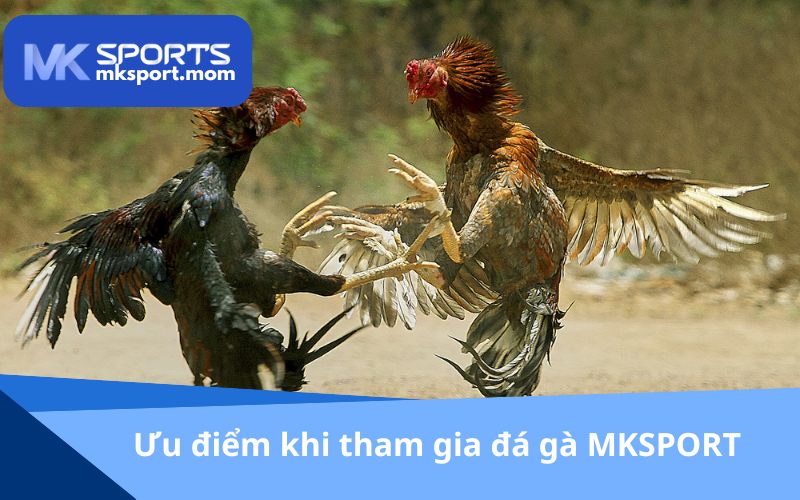 Lợi thế cạnh tranh